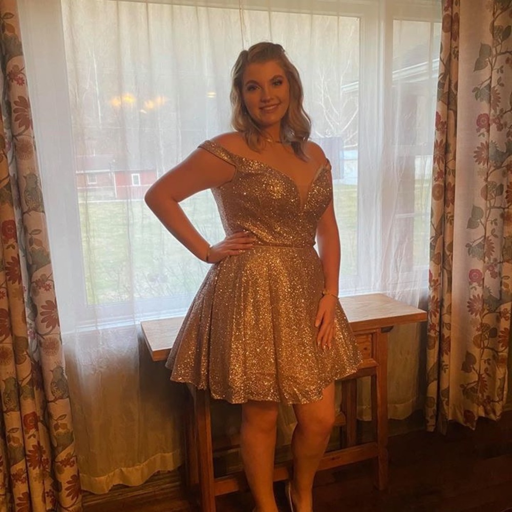Pink/Champagne Glitter Formal Dress